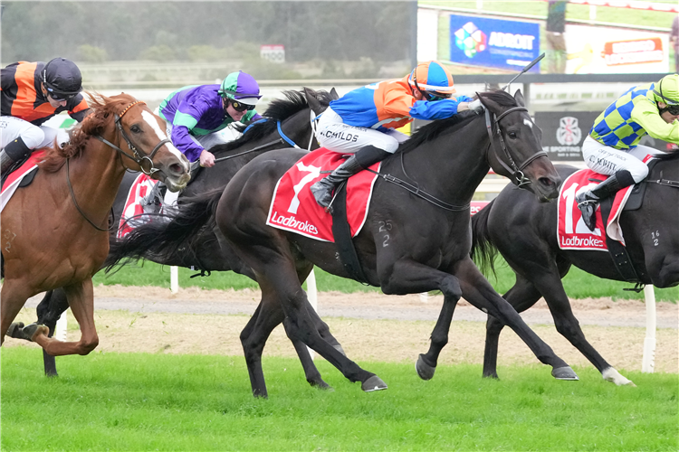 GOLD COAST BELLE winning the SEN Bendigo Guineas at Bendigo in Australia.