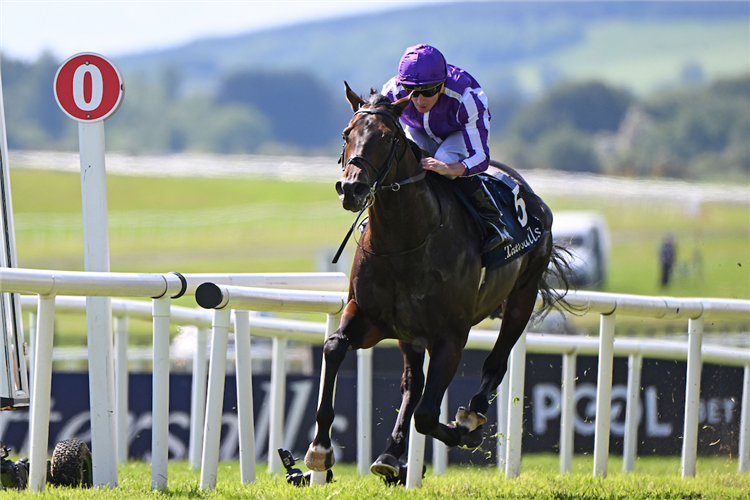 GSTAAD winning the The Tattersalls Irish 2,000 Guineas (Group 1) at Curragh in Ireland.