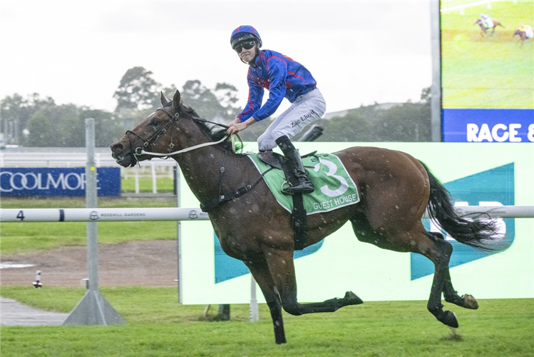 「豪宅」夺冠金拖鞋大赛