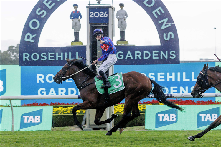 「家庭旅馆」夺冠金拖鞋大赛