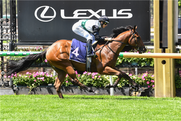 「猛踢」胜出塔林德特锦标赛