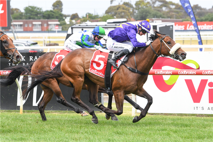 HARRY'S YACHT winning the Daisy's Garden Supplies Cup at Geelong in Australia.