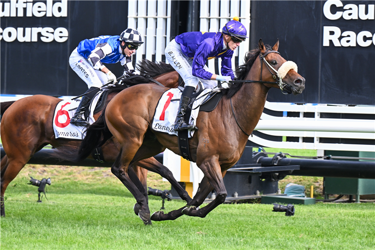 HARRY'S YACHT winning the Lamaro's Hotel Handicap at Caulfield in Australia.