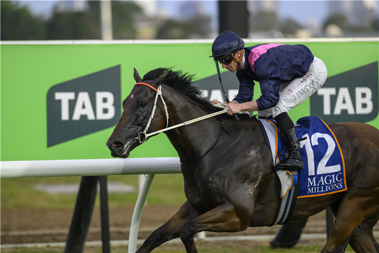 HAWKER HALL winning the Magic Millions Class 6 Plate.