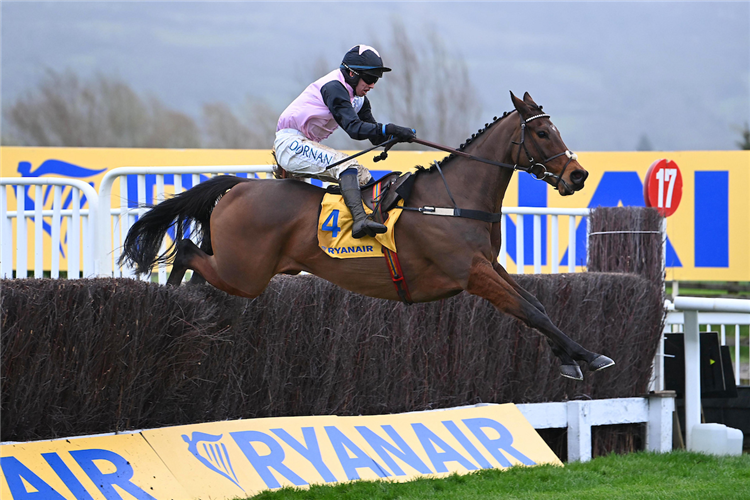 HEART WOOD winning the Ryanair Chase (Registered As The Festival Trophy) (Grade 1) (Gbb Race) at Cheltenham in United Kingdom.