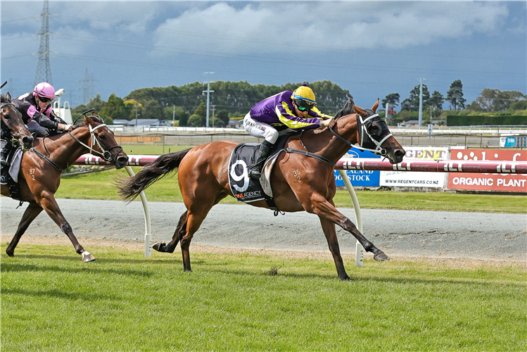 HELLO HAYLEY winning the ILT ASCOT PARK HOTEL SOUTHLAND GUINEAS
