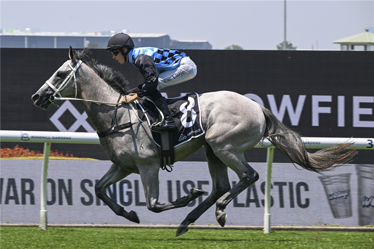 「希德里」胜出卡农贝利锦标赛