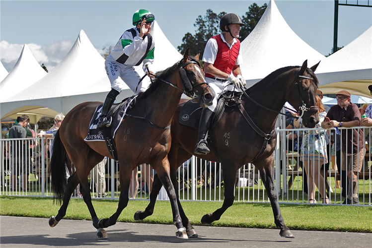 HIGH COUNTRY winning the SNOW WILLIAMS BAYLEYS COUNTRY
