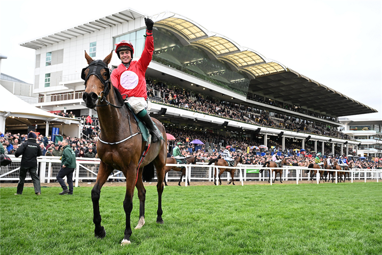 HOME BY THE LEE winning the Paddy Power Stayers' Hurdle (Grade 1) (Gbb Race) at Cheltenham in United Kingdom.