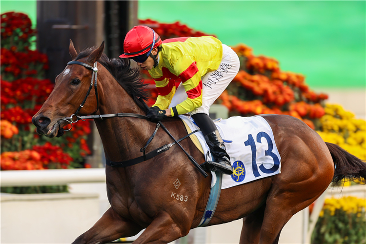 HOT DELIGHT winning the YUE YEE HANDICAP