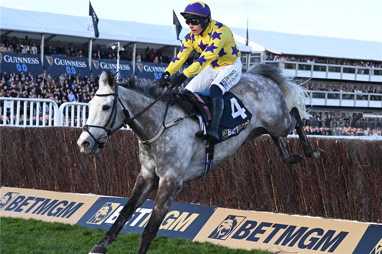 IL ETAIT TEMPS winning the Betmgm Queen Mother Champion Chase (Grade 1) (Gbb Race) at Cheltenham in United Kingdom.