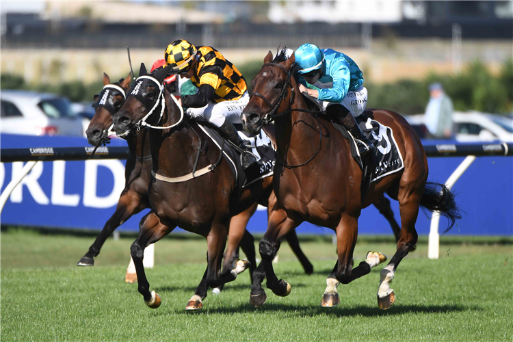 I'M ALL IN (inside) winning the HORIZON BY SKYCITY