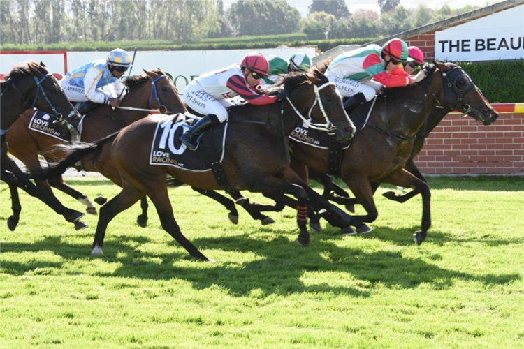 INFLAMED winning the MOSGIEL TAVERN BEAUMONT PUBLICAN'S CUP
