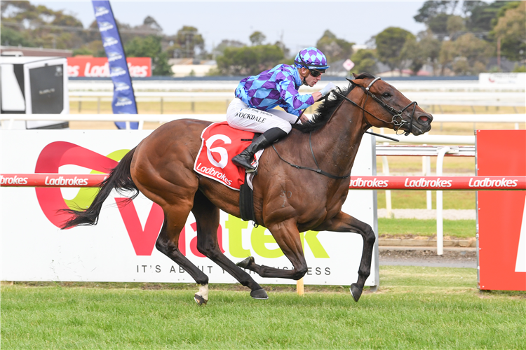 JENNI THE FOX winning the Crowne Plaza Geelong Black Pearl Stakes at Geelong in Australia.
