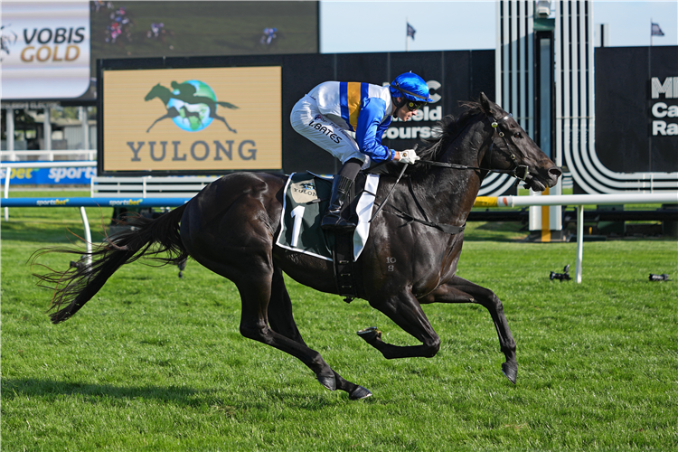 JIGSAW winning the Yulong VOBIS Gold Sprint at Caulfield in Australia.