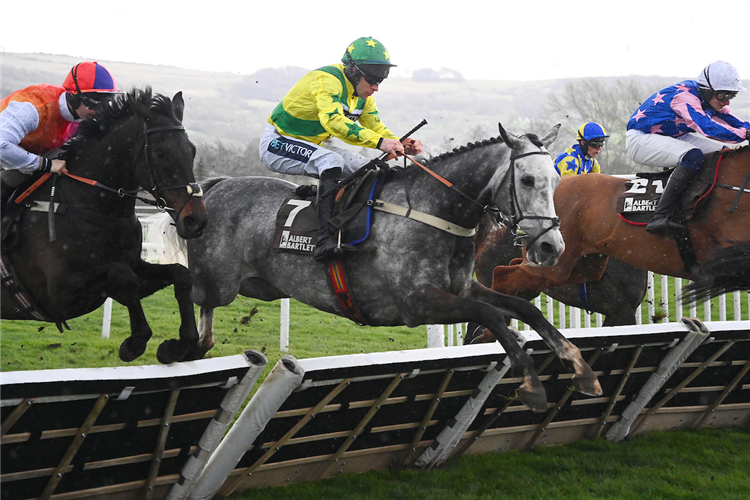JOHNNY'S JURY winning the Albert Bartlett Novices' Hurdle (Grade 1) (Registered As The Spa Novices' Hurdle) (Gbb Race) at Cheltenham in England.