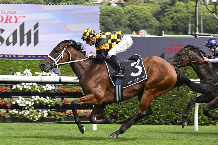 JOLIESTAR winning the ASAHI SUPER DRY EXPRESSWAY STAKES at Randwick in Australia.