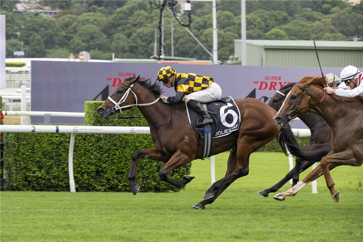 JOLIESTAR winning the ASAHI SUPER DRY T J SMITH STAKES at Randwick in Australia.
