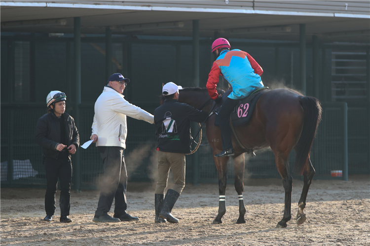 Ka Ying Rising Impresses In Sha Tin Barrier Trial | Racing and Sports