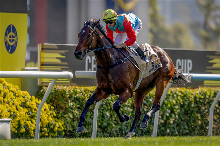 KA YING RISING winning the THE CENTENARY SPRINT CUP