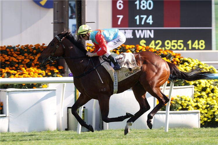 KA YING RISING winning the THE CENTENARY SPRINT CUP