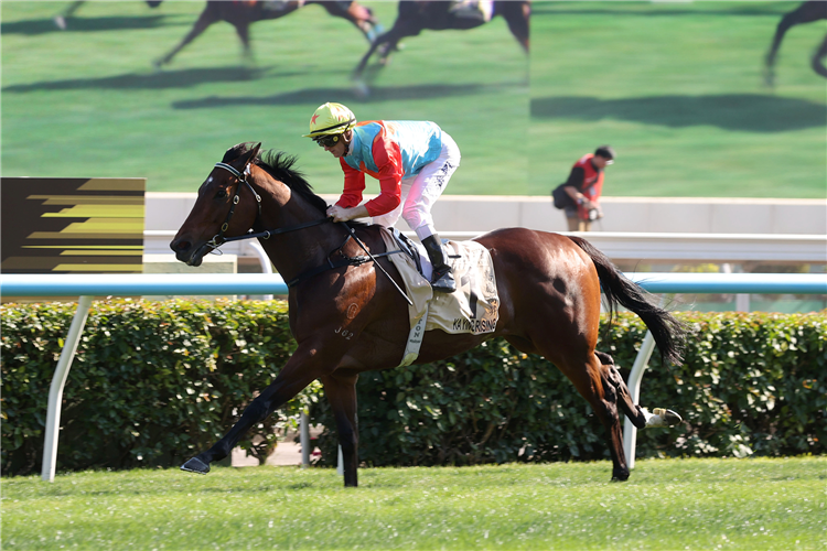 KA YING RISING winning the Centenary Sprint Cup.