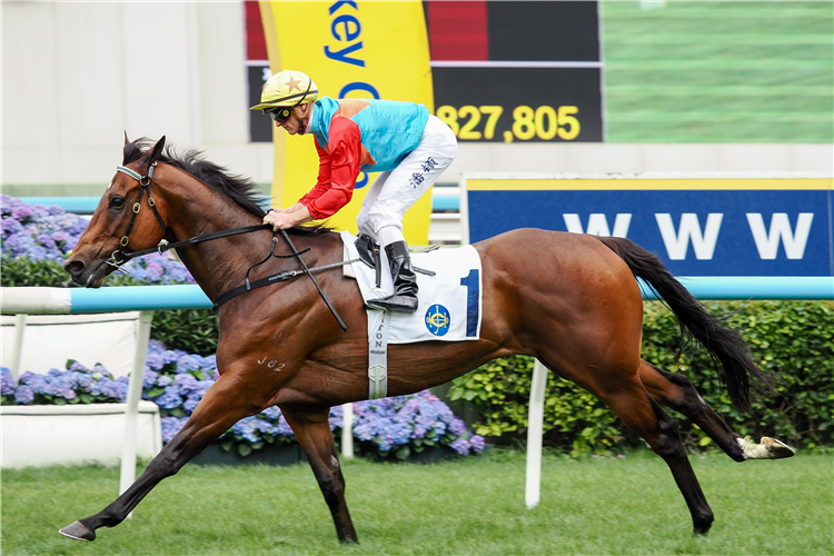 KA YING RISING winning the Sprint Cup.