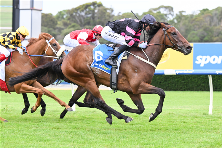 KAYE JAY winning the Sportsbet Jockey Watch Plate at Sandown Hillside in Australia.