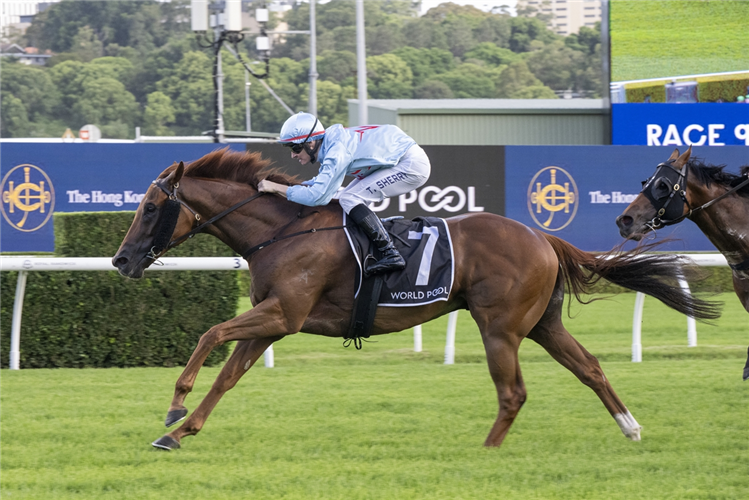 KING OF ROSEAU winning the HKJC WORLD POOL LIVERPOOL CITY CUP at Randwick in Australia.