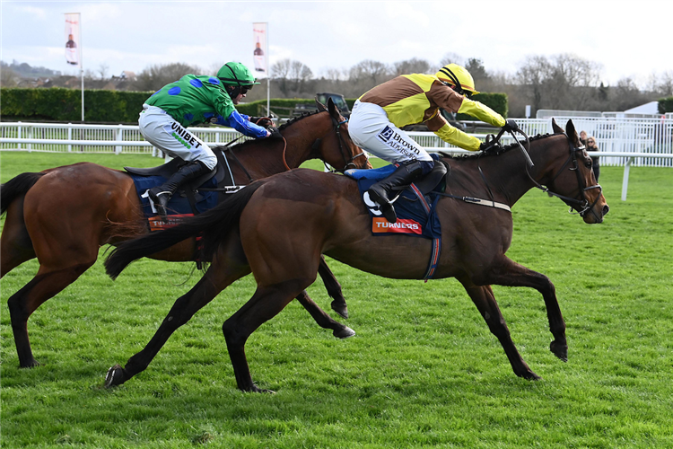 KING RASKO GREY winning the Turners Novices' Hurdle (Grade 1) (Registered As The Baring Bingham Novices' Hurdle) (Gbb Race) at Cheltenham in United Kingdom.