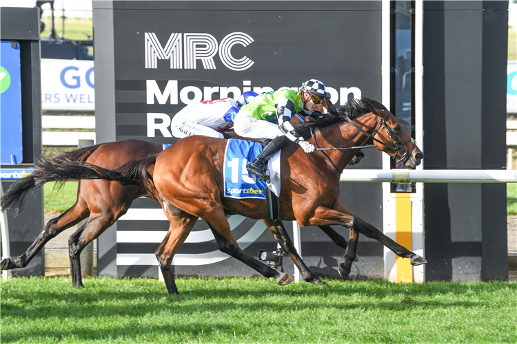 「御林深谷」夺冠莫宁顿杯
