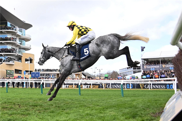 KITZBUHEL winning the Brown Advisory Novices' Chase (Grade 1) (Registered As The Broadway Novices' Chase) (Gbb Race) at Cheltenham in United Kingdom.