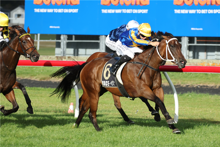 LADY IRIS winning the CAPTURE SIGNS SPRINT