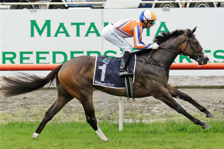 LARA ANTIPOVA winning the J SWAP CONTRACTORS LTD MATAMATA BREEDERS' STAKES