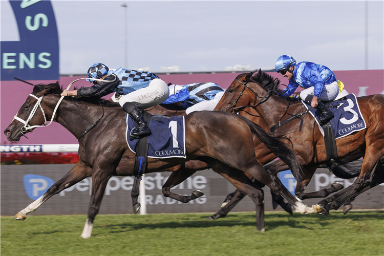 「蓝湖」夺冠库尔摩尔经典赛