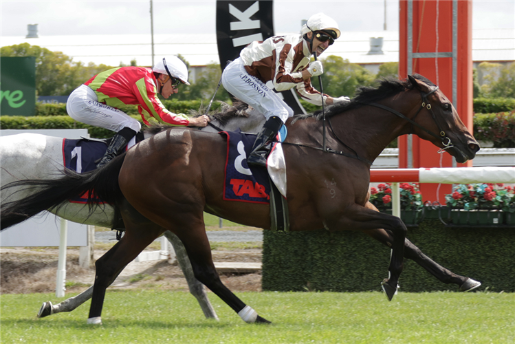 「莱加托」胜出赫比戴克锦标赛