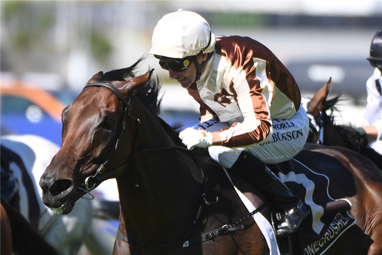LEGARTO winning the BONECRUSHER NEW ZEALAND STAKES