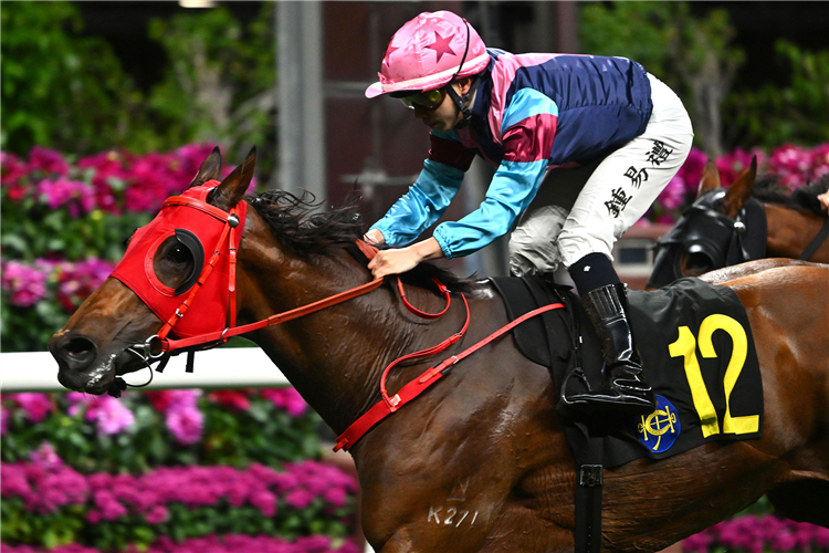 LEGEND STAR winning the KENNEDY HANDICAP