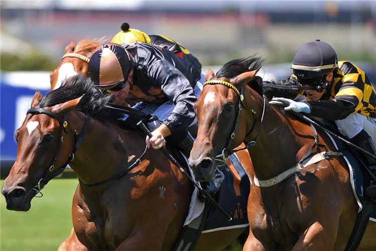 LIGURIA (outside) winning the COLIN JILLINGS 2YO CLASSIC