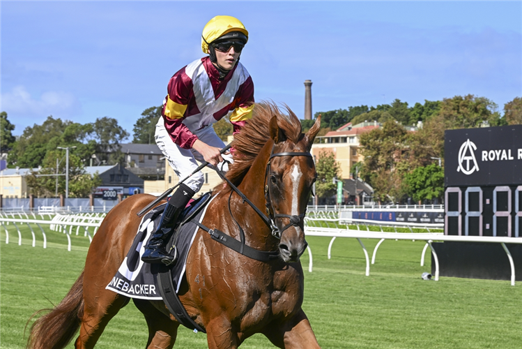 Jockey : ZAC LLOYD after LINEBACKER winning the THE AGENCY RANDWICK GUINEAS.