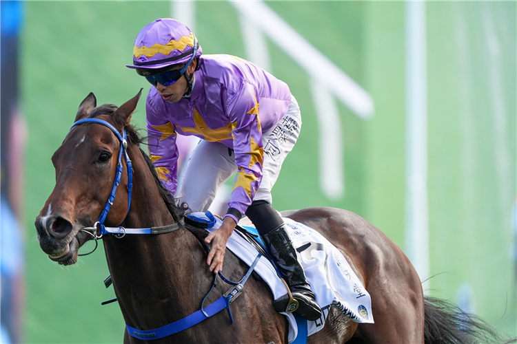 LITTLE PARADISE winning the THE HONG KONG CLASSIC MILE