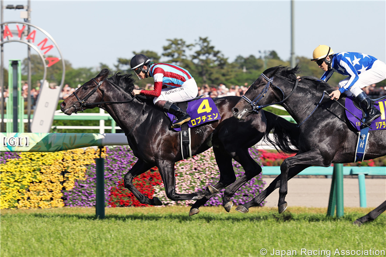 LOVCEN winning the Satsuki Sho at Nakayama in Japan.