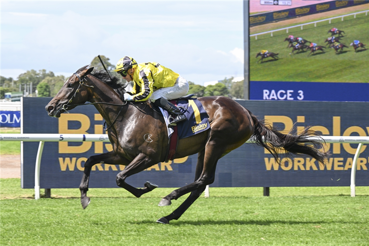 MACHINE GUN GRACIE winning the BISLEY WORKWEAR EPONA STAKES at Rosehill in Australia.