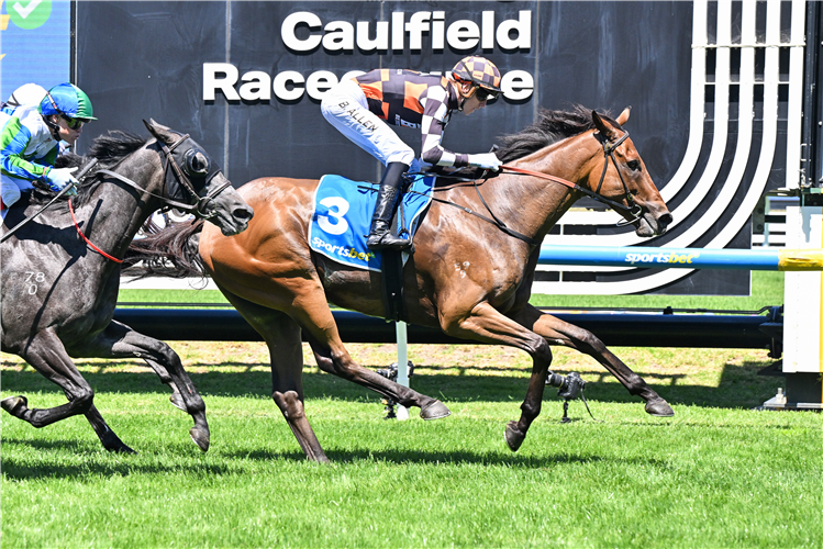 MAGNASPIN winning the Sportsbet Victoria Gold Cup at Caulfield in Australia.