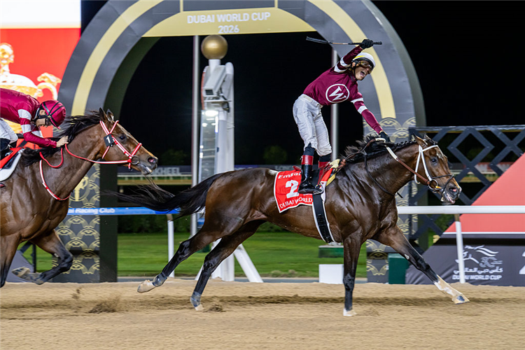 MAGNITUDE winning the Dubai World Cup at Meydan in Dubai, United Arab Emirates.