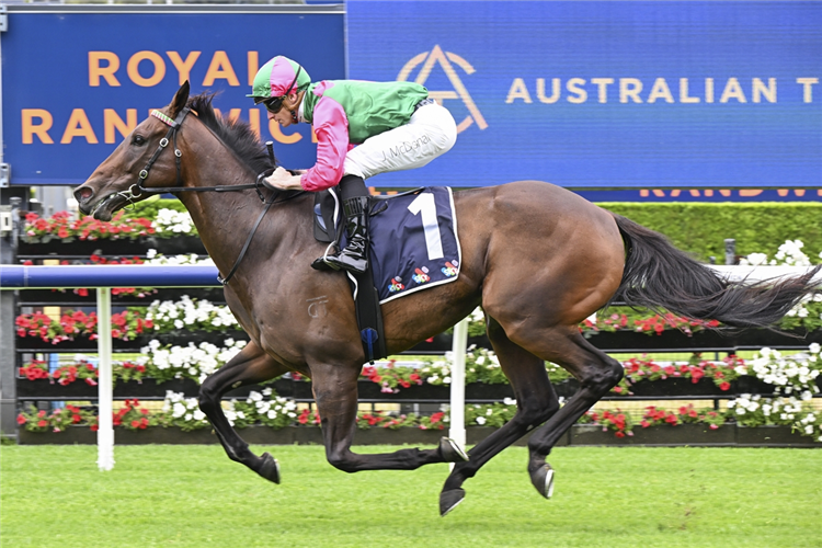 MAL COUPE winning the MIDWAY HANDICAP at Randwick in Australia.