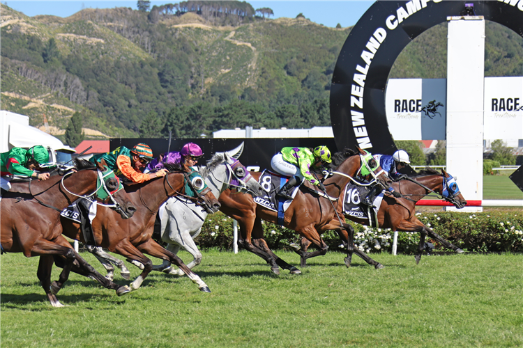 「曼佐尔蓝」胜出惠灵顿杯
