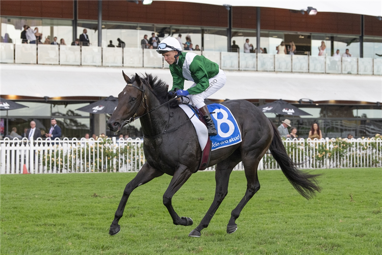 MARHOONA winning the KIA ORA GALAXY at Rosehill in Australia