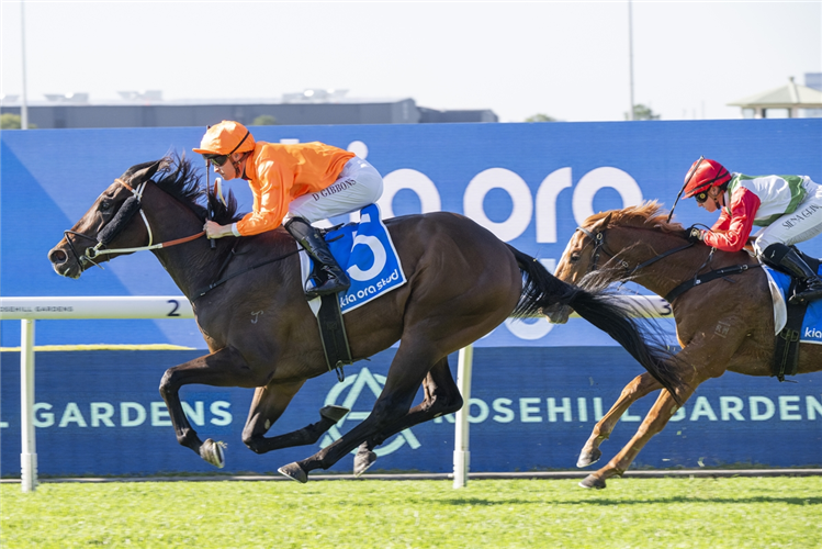 MARWOOBA winning the KIA ORA BLOODLINES TO HEADLINES HANDICAP at Rosehill Gardens in Australia.