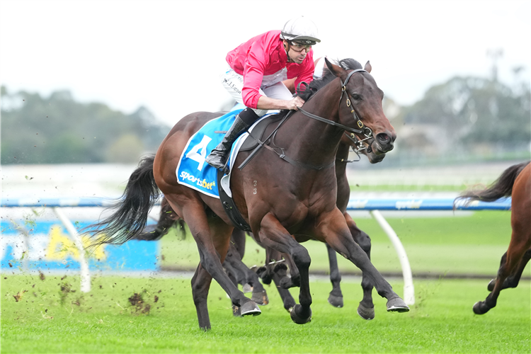 Mbube winning the Sportsbet Fast Form Handicap at Sandown in Australia.